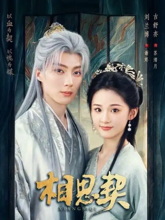 相思契 - 短剧短剧海报图片