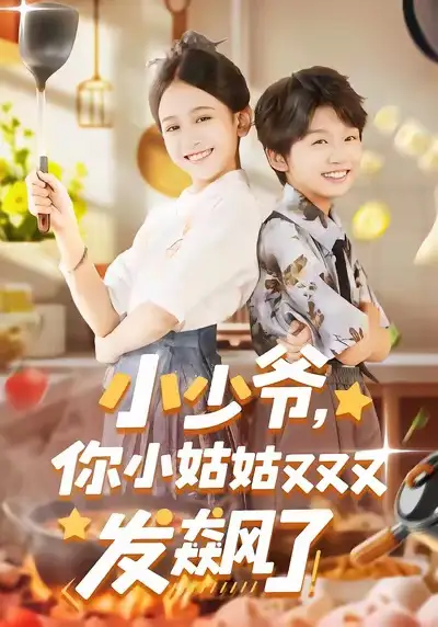 小少爷，你小姑姑又又又发飙了 - 短剧短剧海报图片