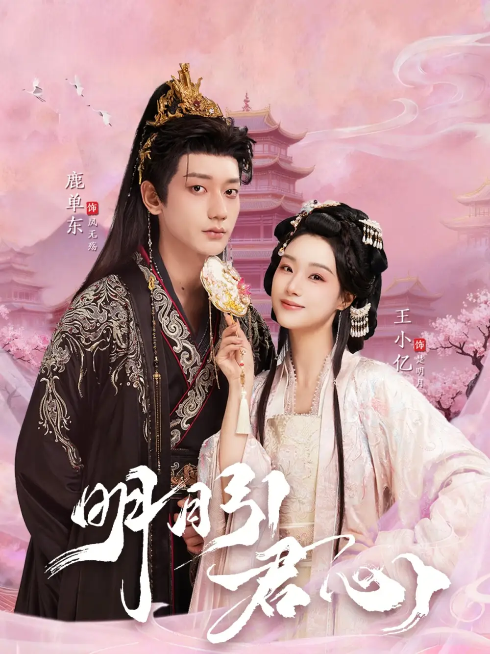 明月引君心 - 短剧短剧海报图片