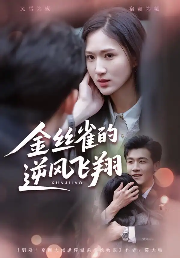 金丝雀的逆风飞翔 - 短剧短剧海报图片