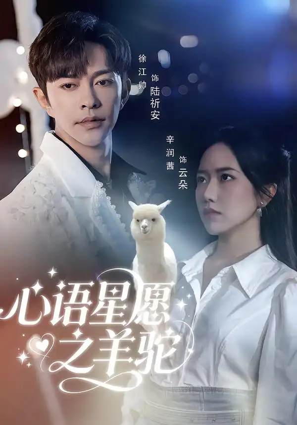 心语星愿之羊驼 - 短剧短剧海报图片