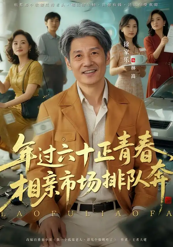 老夫聊发少年狂，保姆成群很正常&年过六十正青春，相亲市场排队奔 - 短剧短剧海报图片