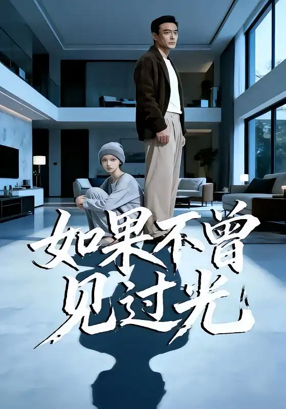 如果不曾见过光 - 短剧短剧海报图片