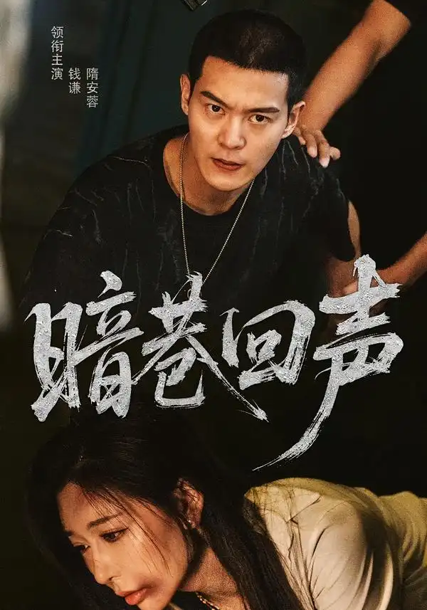暗巷回声 - 短剧短剧海报图片