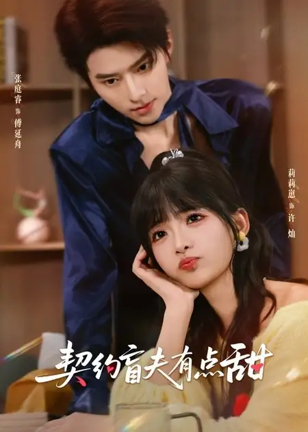 契约盲夫有点甜 - 短剧短剧海报图片