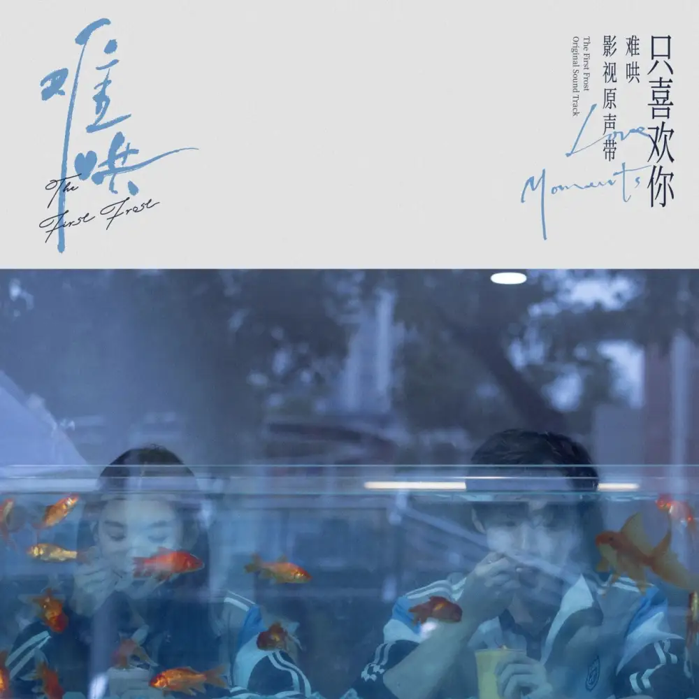 《群星.2025 – 难哄 影视原声带【FLAC分轨】