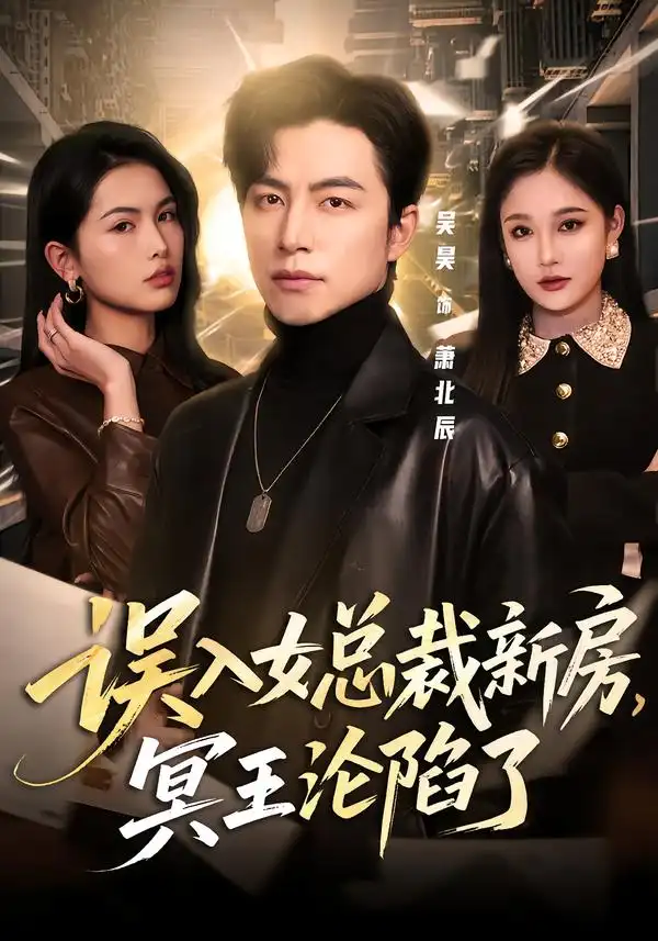 误入女总裁新房，冥王沦陷了 - 短剧短剧海报图片