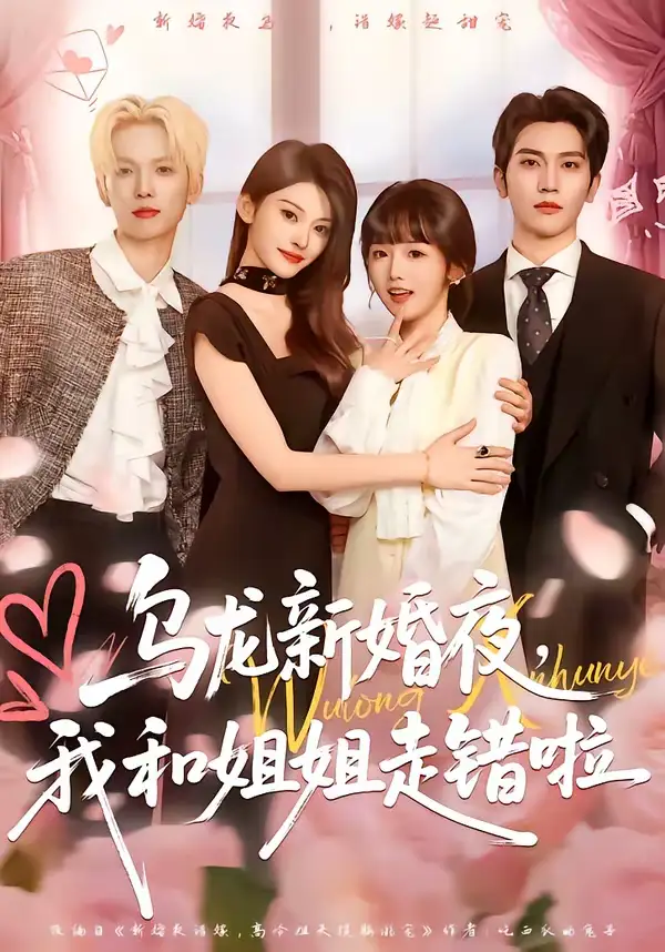 乌龙新婚夜，我和姐姐走错啦 - 短剧短剧海报图片