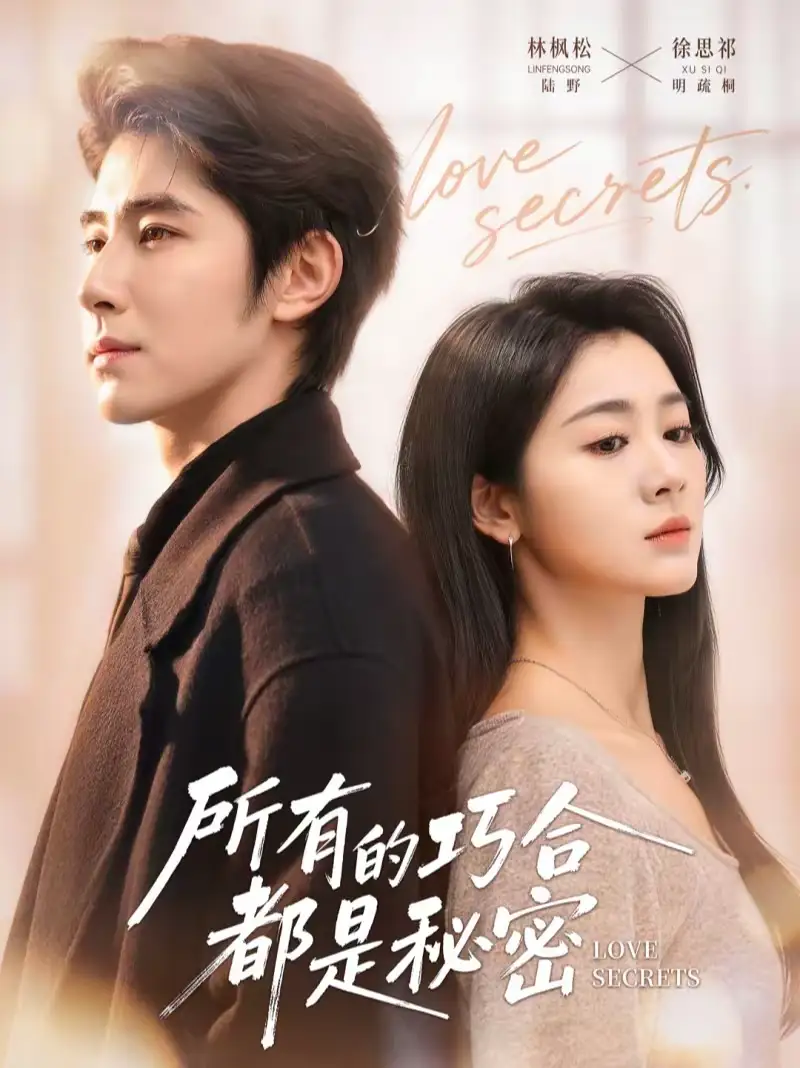 所有的巧合都是秘密&陆总夫人她只想离婚