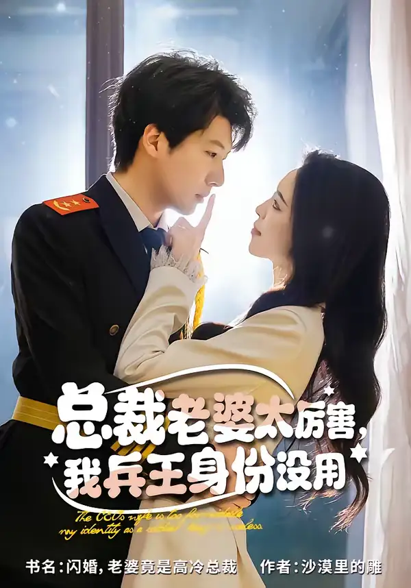 总裁老婆太厉害，我兵王身份没用 - 短剧短剧海报图片