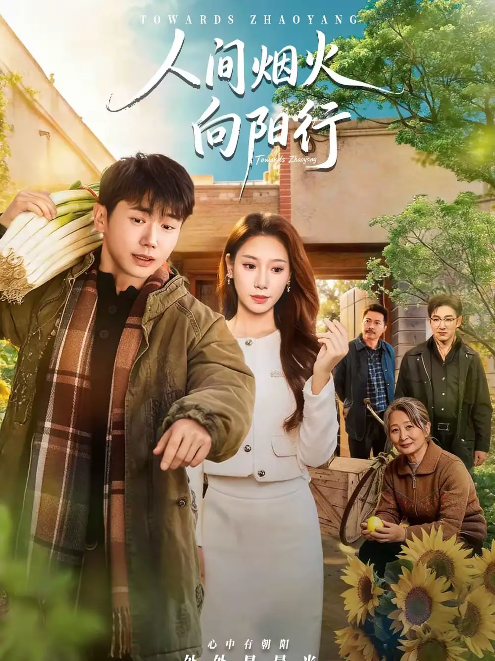 人间烟火向阳行 - 短剧短剧海报图片