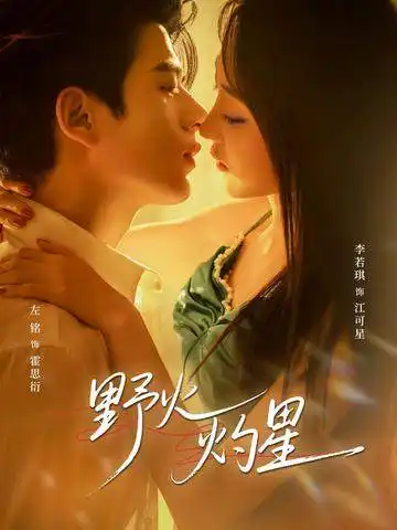 野火灼星 - 短剧短剧海报图片