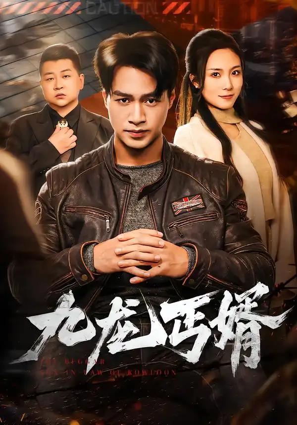 九龙丐婿 - 短剧短剧海报图片