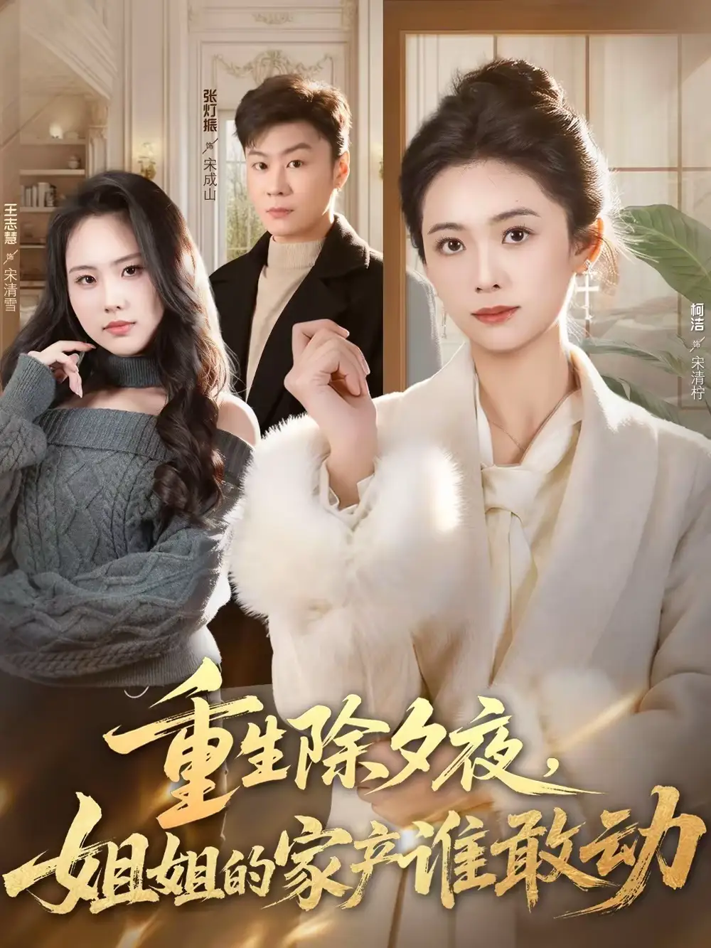 重生除夕夜，姐姐的家产谁敢动 - 短剧短剧海报图片