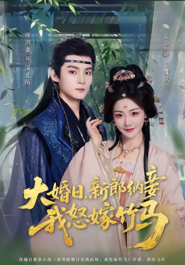 大婚日，新郎纳妾我怒嫁竹马 - 短剧短剧海报图片