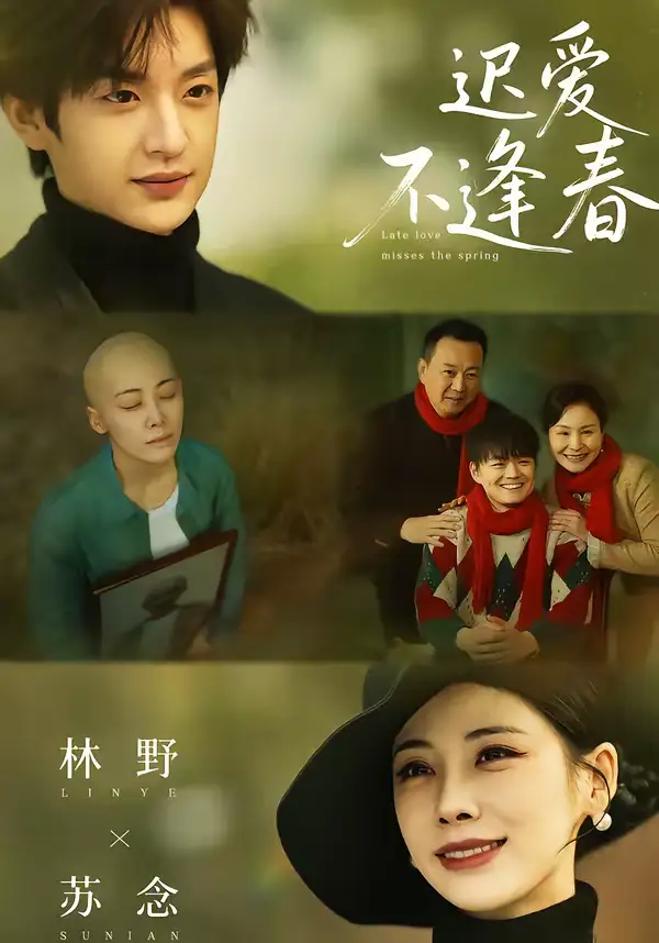 迟爱不逢春 - 短剧短剧海报图片