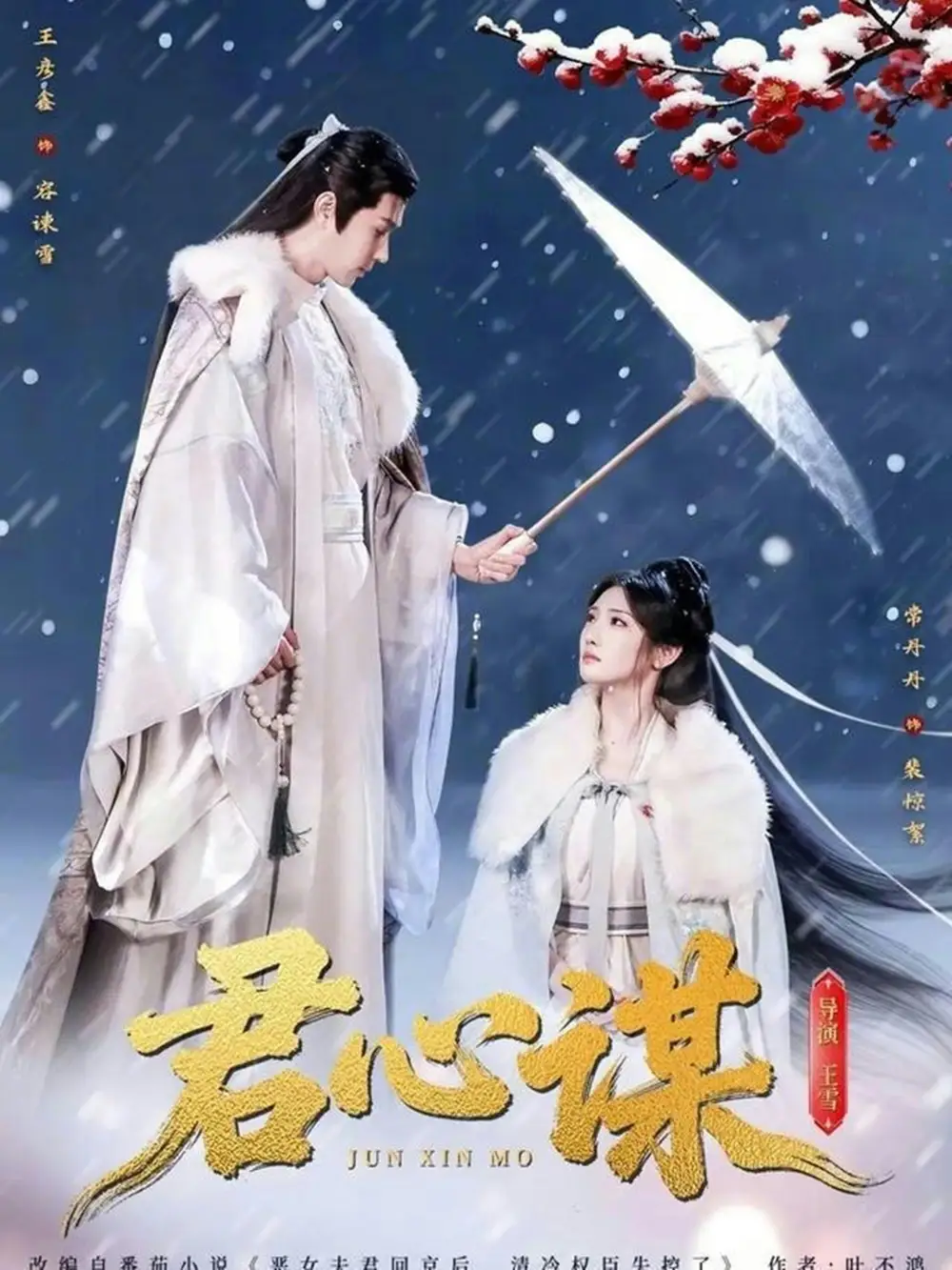 君心谋 - 短剧短剧海报图片