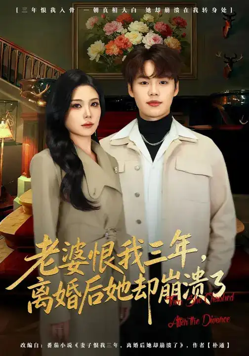 老婆恨我三年，离婚后她却崩溃了 - 短剧短剧海报图片