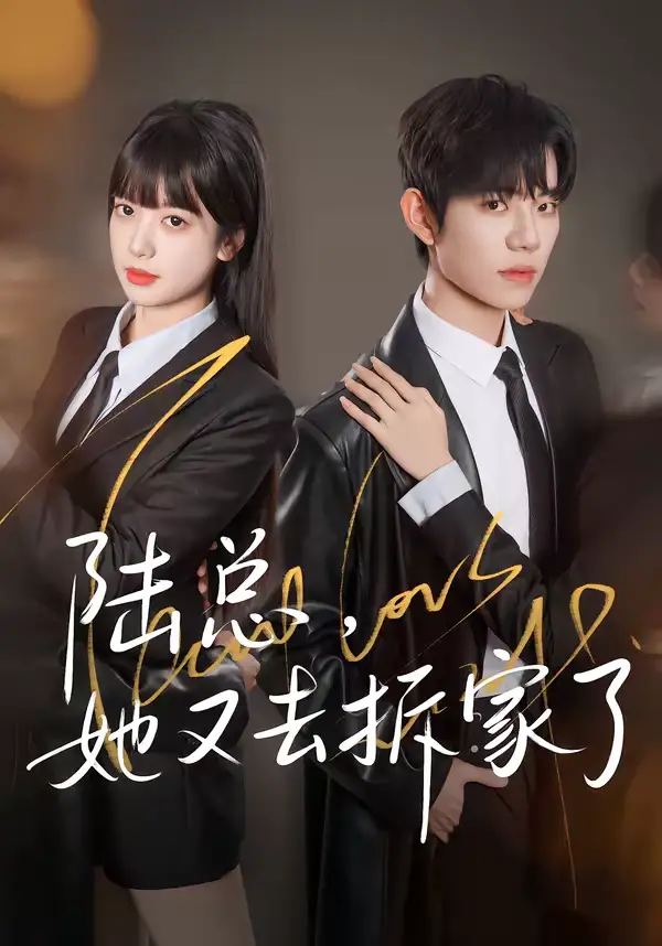陆总，她又去拆家了 - 短剧短剧海报图片