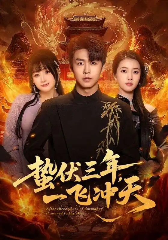 蛰伏三年，一飞冲天 - 短剧短剧海报图片
