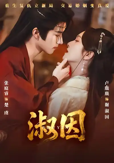 淑因 - 短剧短剧海报图片