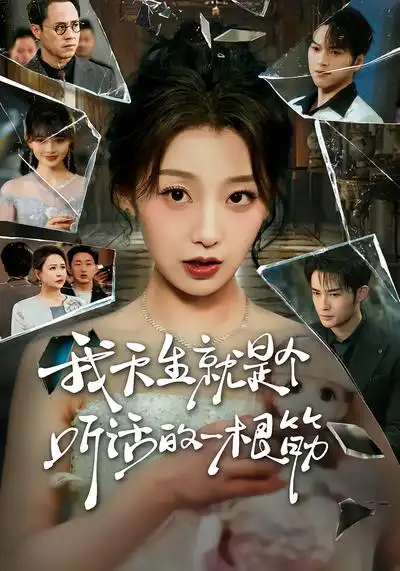 我天生就是个听话的一根筋 - 短剧短剧海报图片