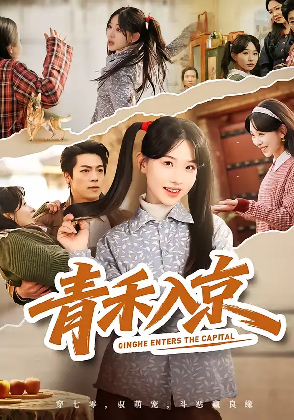 青禾入京 - 短剧短剧海报图片