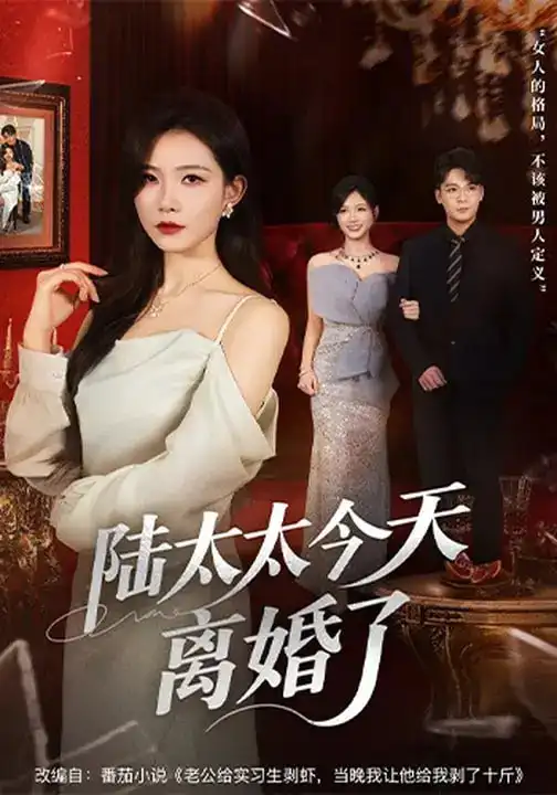 陆太太今天离婚了 - 短剧短剧海报图片