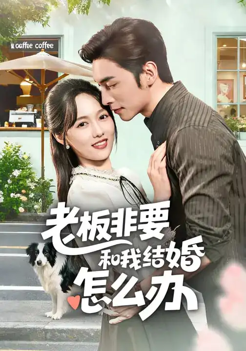 老板非要和我结婚怎么办 - 短剧短剧海报图片