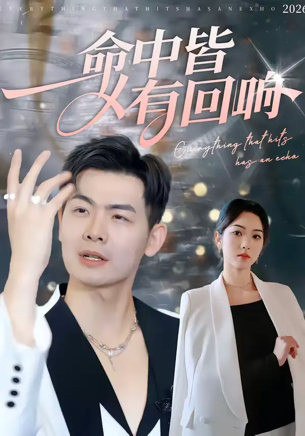 命中皆有回响 - 短剧短剧海报图片