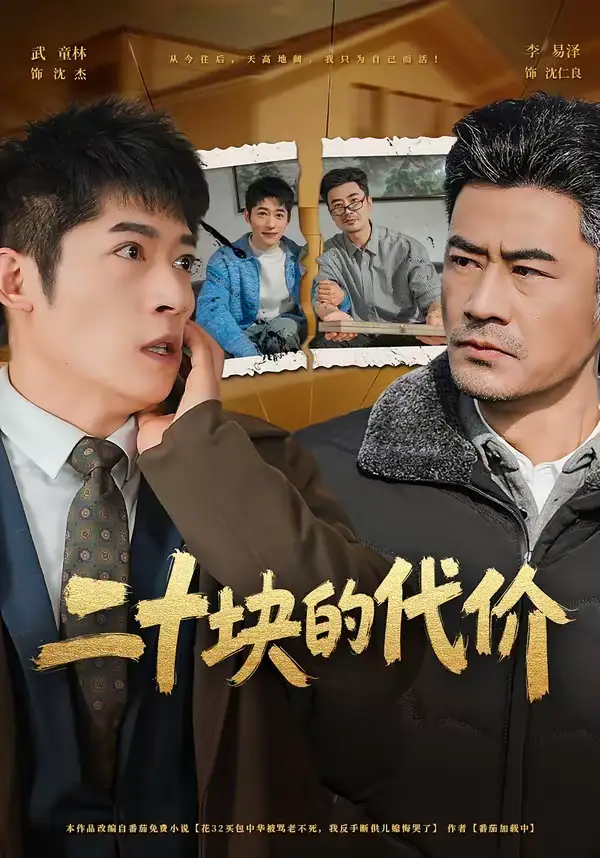 二十块的代价 - 短剧短剧海报图片