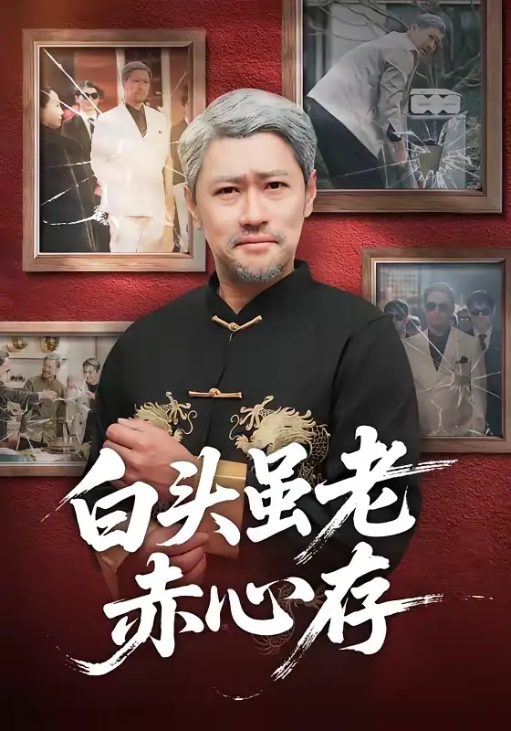白头虽老赤心存 - 短剧短剧海报图片