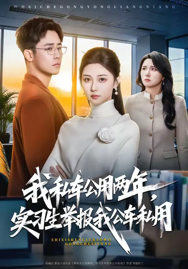 我私车公用两年，实习生举报我公车私用 - 短剧短剧海报图片