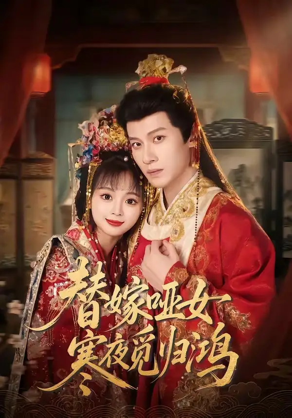替嫁哑女寒夜觅归鸿 - 短剧短剧海报图片