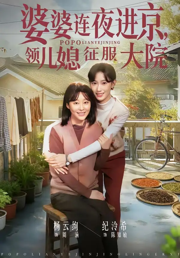 婆婆连夜进京，领儿媳征服大院&婆婆连夜进京领儿媳征服大院 - 短剧短剧海报图片