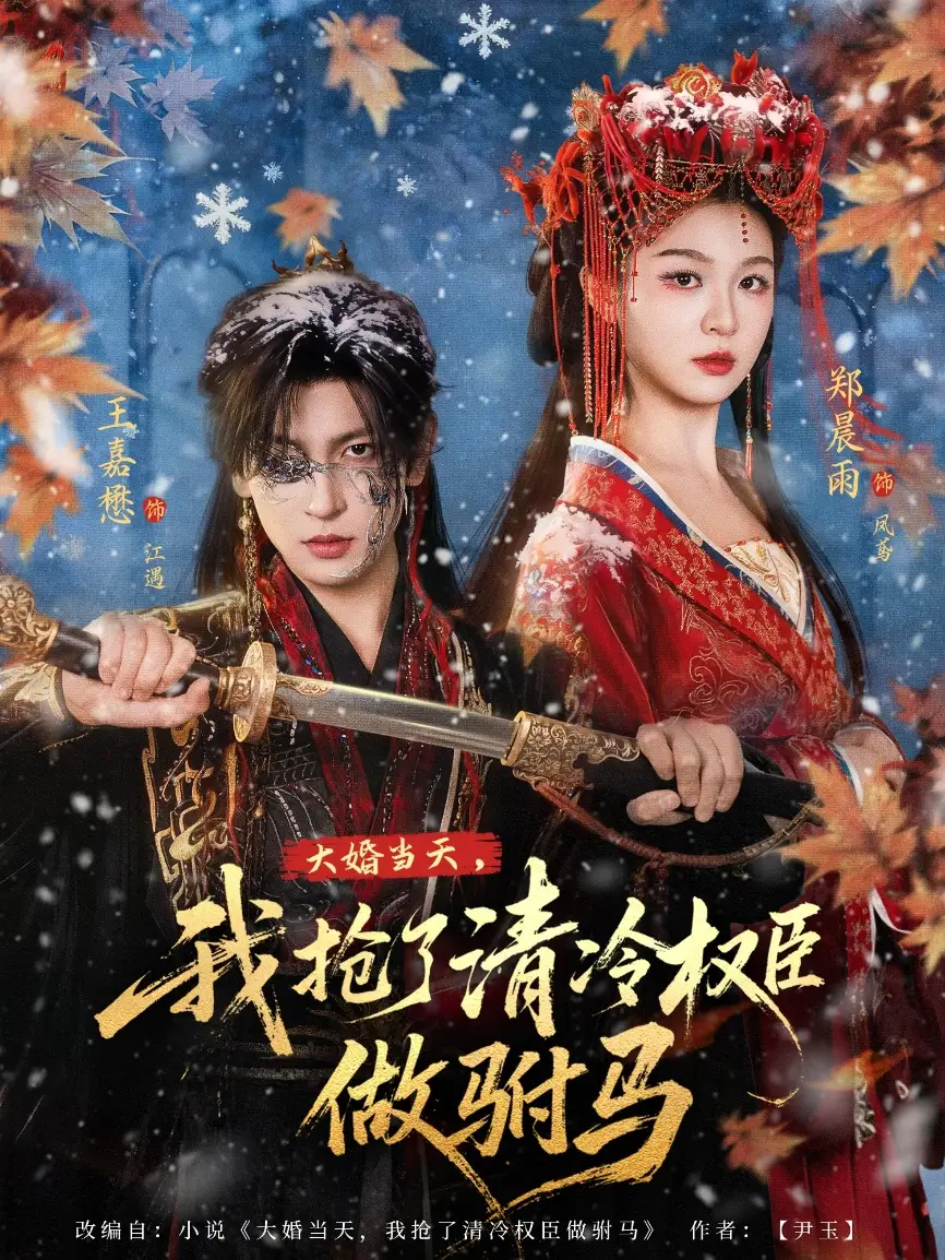 大婚当天，我抢了清冷权臣做驸马 - 短剧短剧海报图片