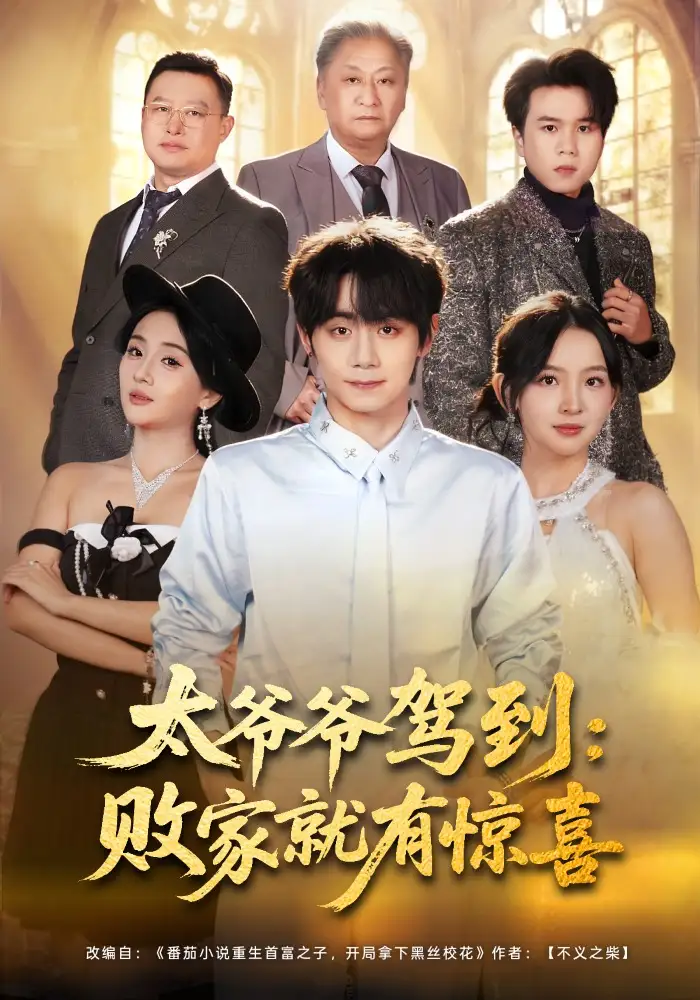 太爷爷驾到：败家就有惊喜 - 短剧短剧海报图片