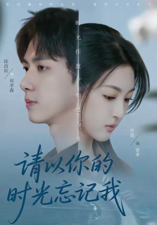 请以你的时光忘记我 - 短剧短剧海报图片
