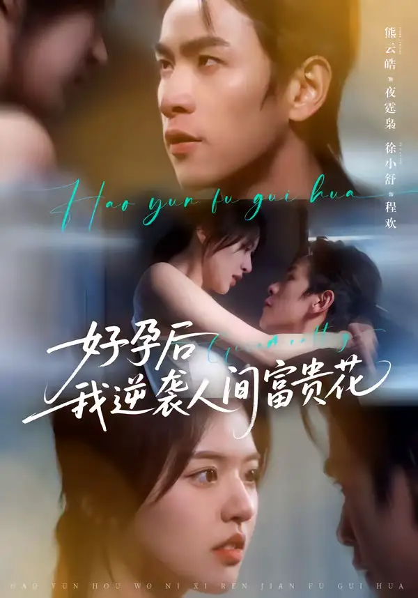 夜先生的小欢喜&好孕后我逆袭人间富贵花