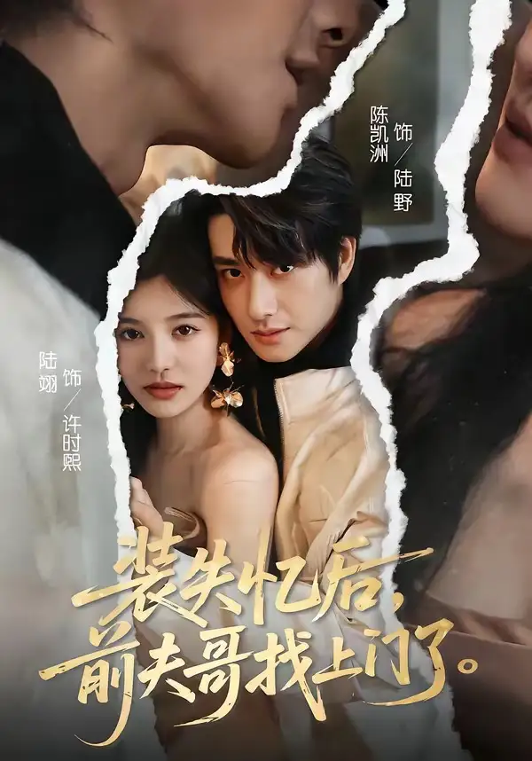 装失忆后，前夫哥找上门了 - 短剧短剧海报图片