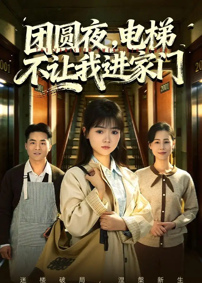 团圆夜电梯不让我进家门 - 短剧短剧海报图片