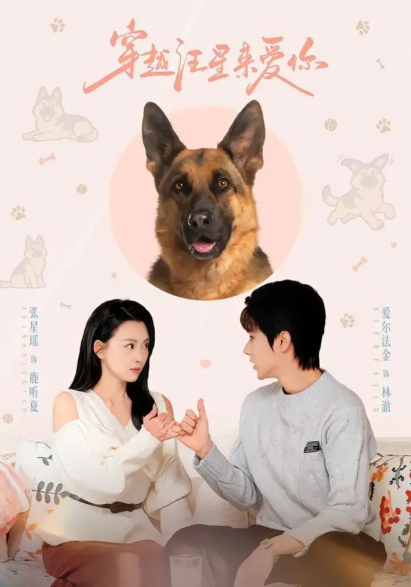 穿越汪星来爱你 - 短剧短剧海报图片