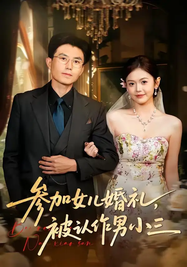 参加女儿婚礼，被认作男小三&参加女儿婚礼被认作男小三 - 短剧短剧海报图片