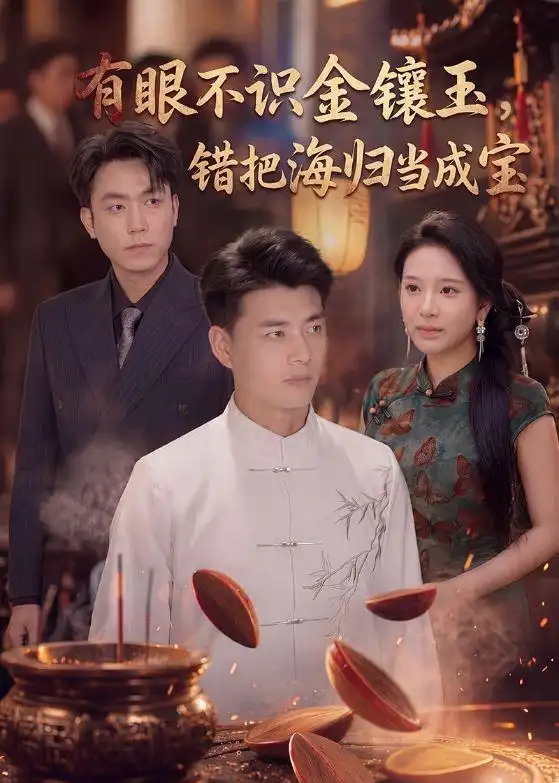有眼不识金镶玉，错把海归当成宝&有眼不识金镶玉错把海归当成宝 - 短剧短剧海报图片