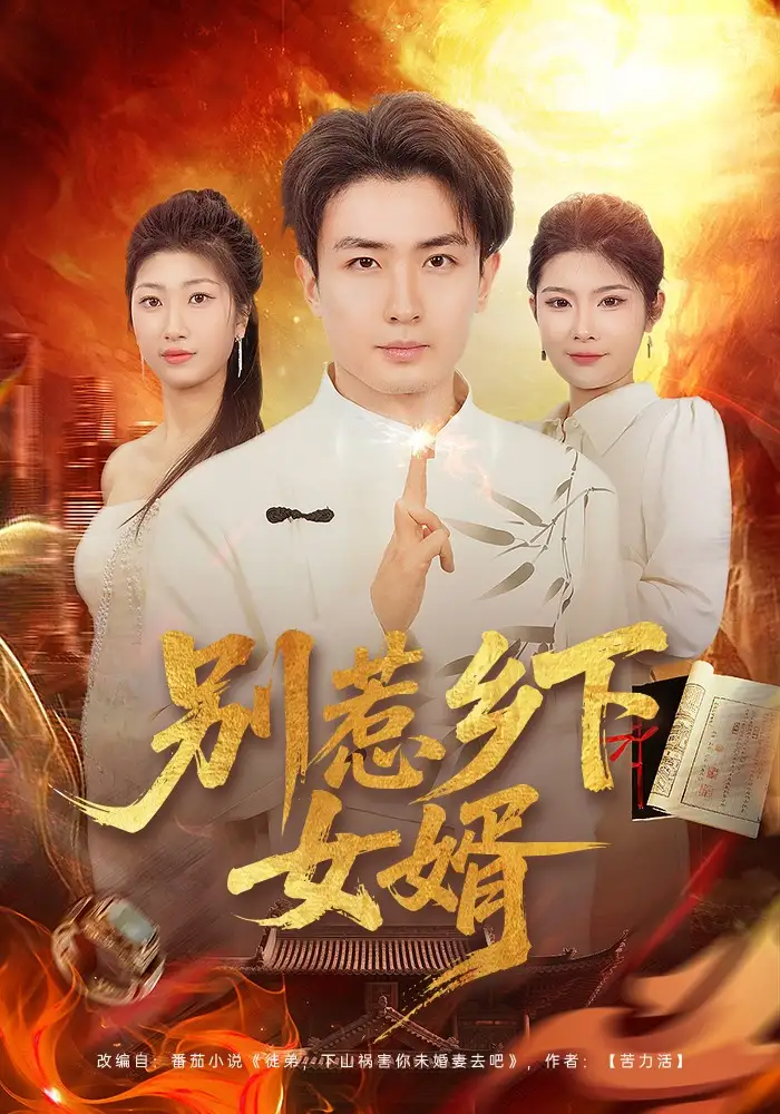 别惹乡下女婿 - 短剧短剧海报图片