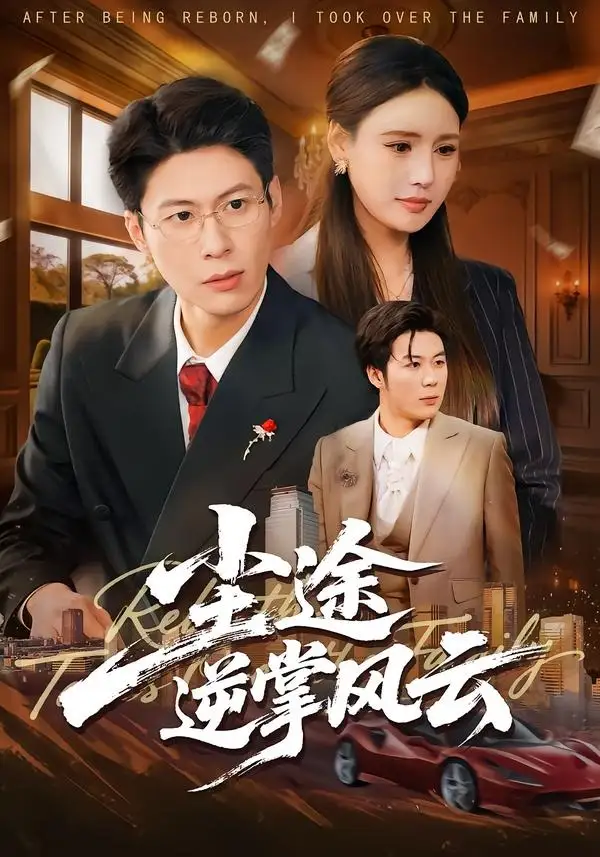 尘途逆掌风云 - 短剧短剧海报图片