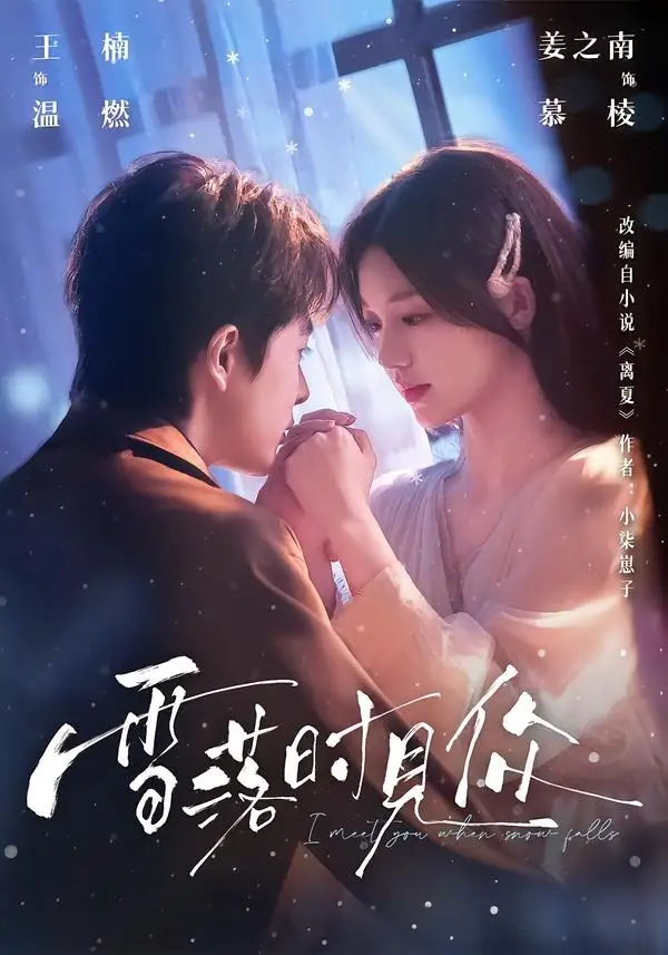 雪落时见你 - 短剧短剧海报图片