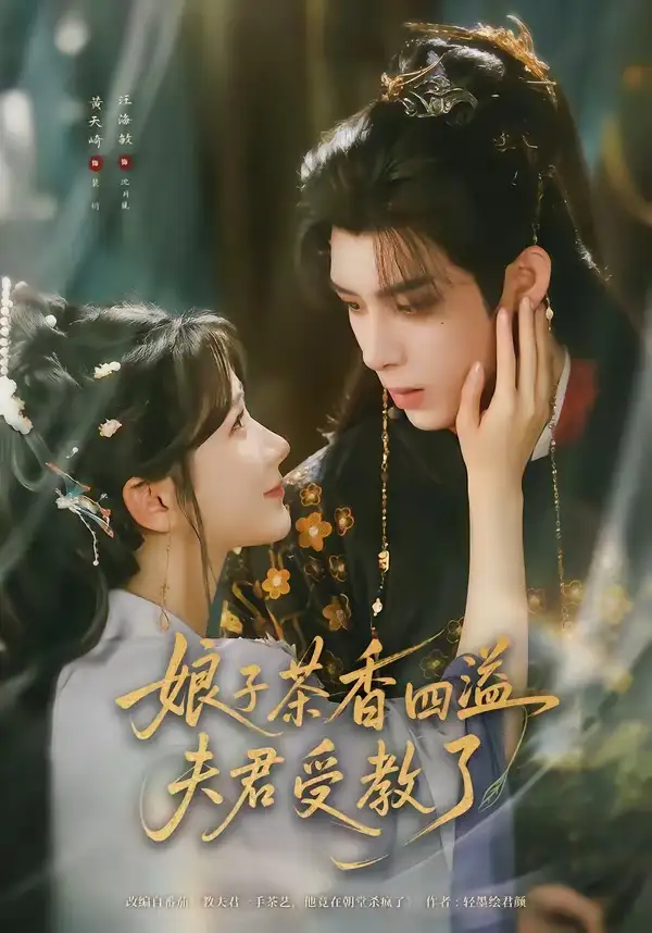 娘子茶香四溢夫君受教了 - 短剧短剧海报图片