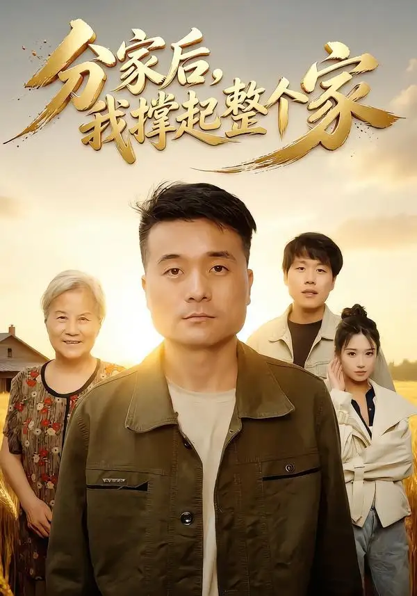 分家后我撑起整个家 - 短剧短剧海报图片