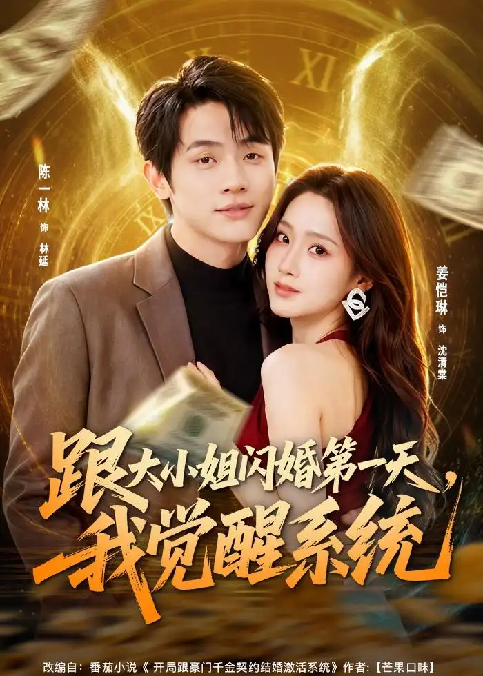 跟大小姐闪婚第一天，我觉醒系统海报